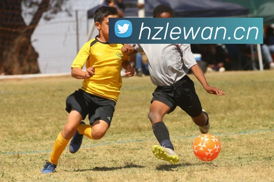 米兰体育网页官网发展历程